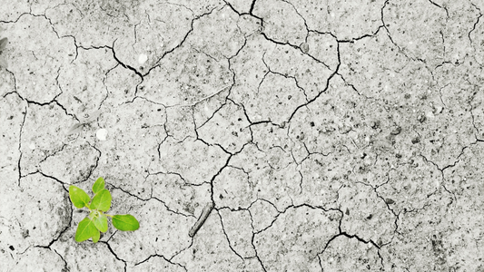 Changement climatique : le dépassement, les enjeux pour l'humanité