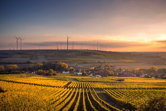 Crise de l'énergie : remplacement par les énergies vertes dans la construction