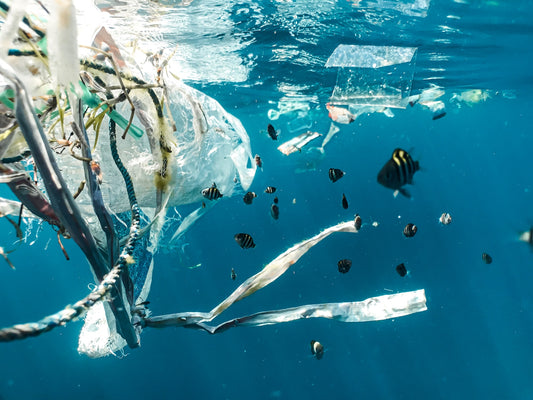 Lutter contre la pollution maritime pour un avenir durable